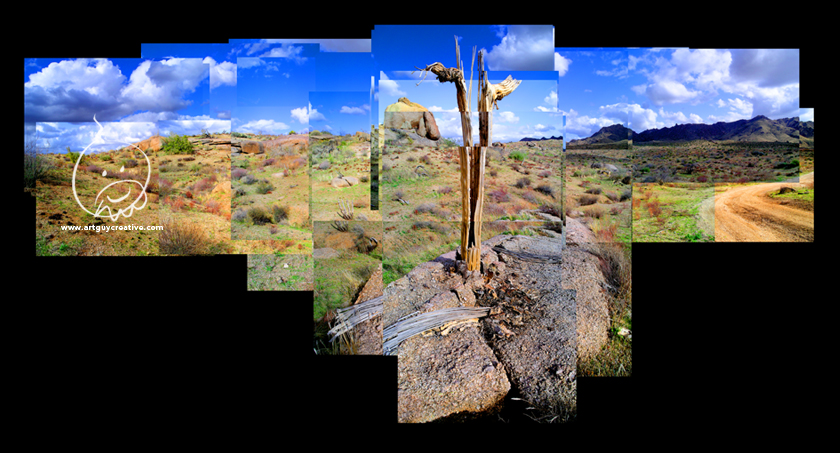 Arizona Landscape Photography Montage Saguaro