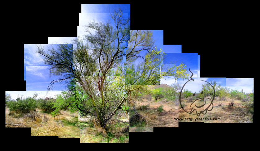 Arizona Landscape Photography Montage