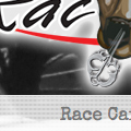 Racing Team Web Site